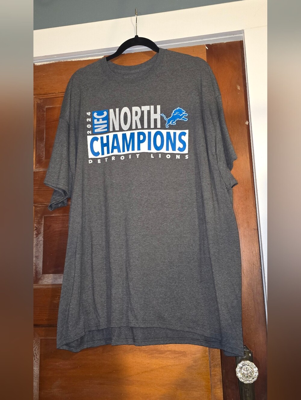 NFL Team Apparel Lions NFC North Champions 2024 Gray and White Graphic Tee